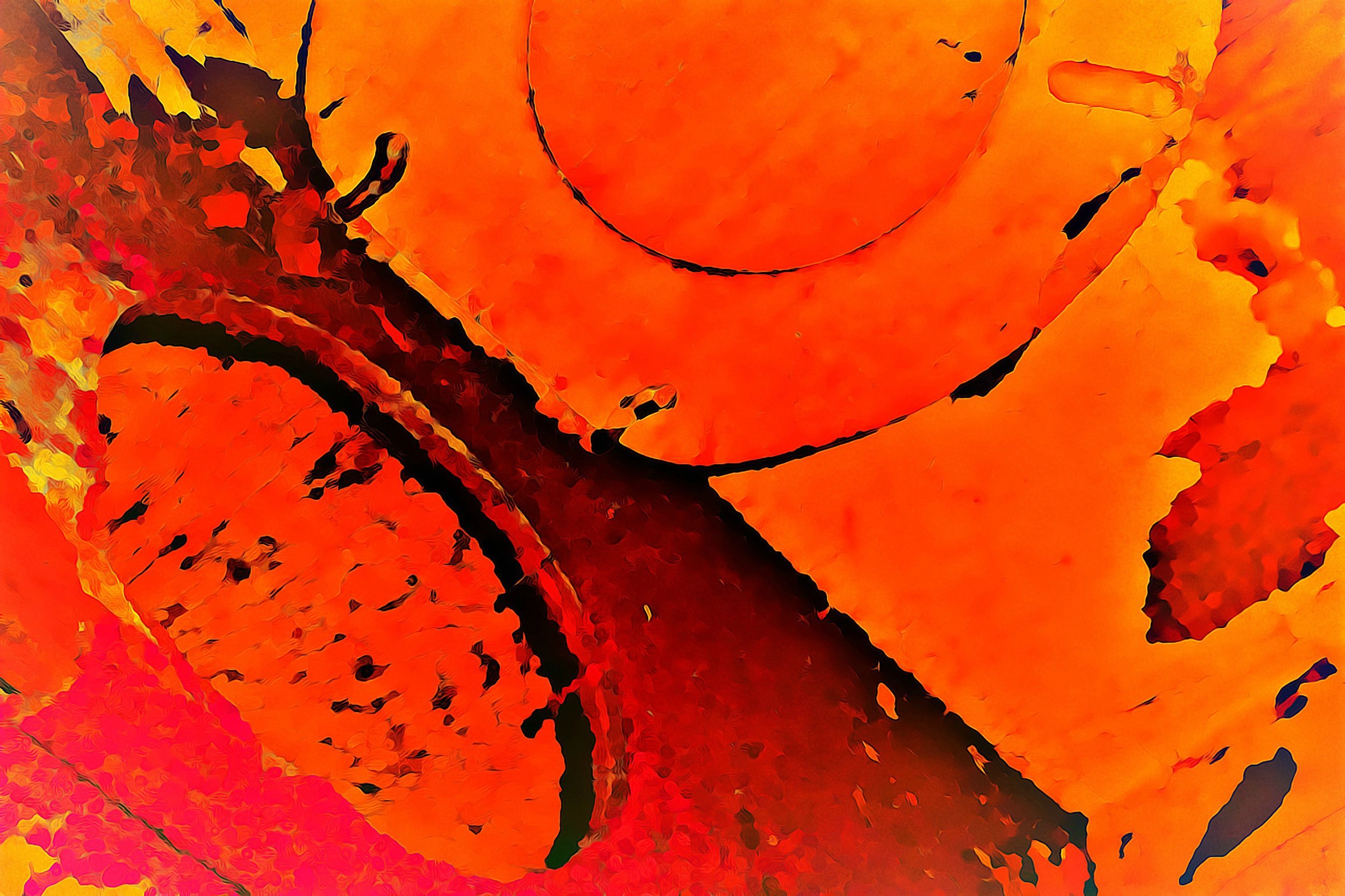 Linda Smith - Saint Louis, Missouri - “Slanted Commode (2)” 
Digital print
30 x 20 in