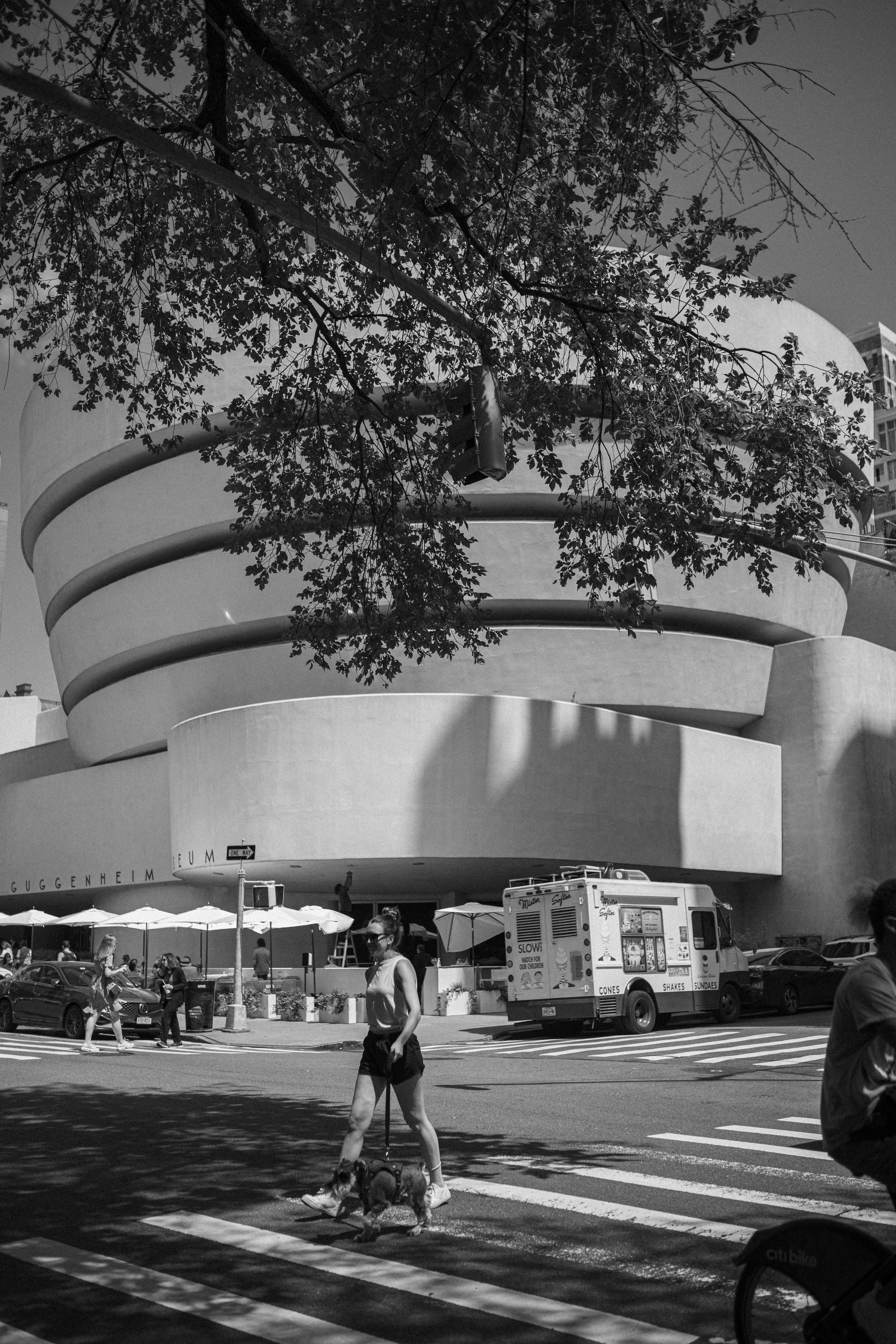 Curves of the City 