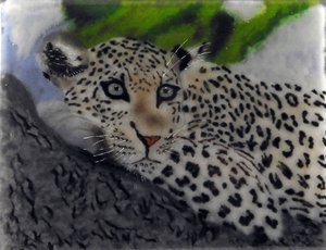 Barb Byrne Glass - 

Lee's Summit, Missouri.  "Lounging Leopard" 
Mixed Media
16 x 14 in