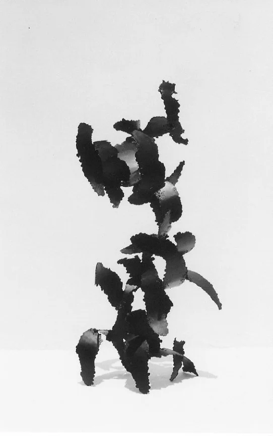 Jason Shih -
Taoyuan District.  “Shadow”
Forged and painted steel
45 x 90 cm