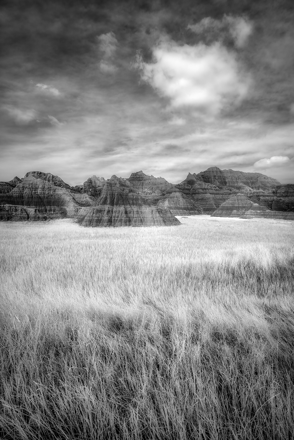 "Wind Keepers," 12in x 18in, Archival Pigment, Infrared Photography 