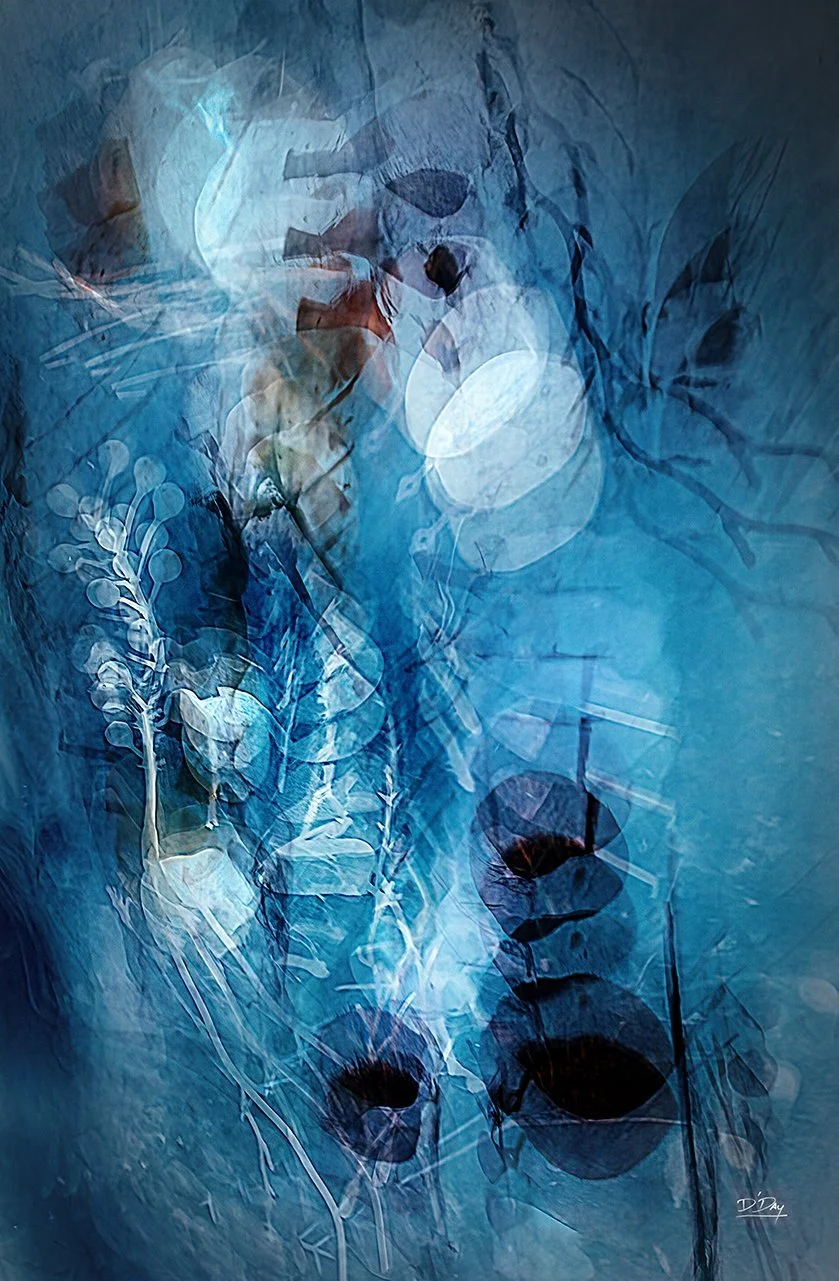 David Day - Hendersonville, North Carolina - "Moonlit Garden” 
Intentional Camera Movement Photography
13 x 19 in