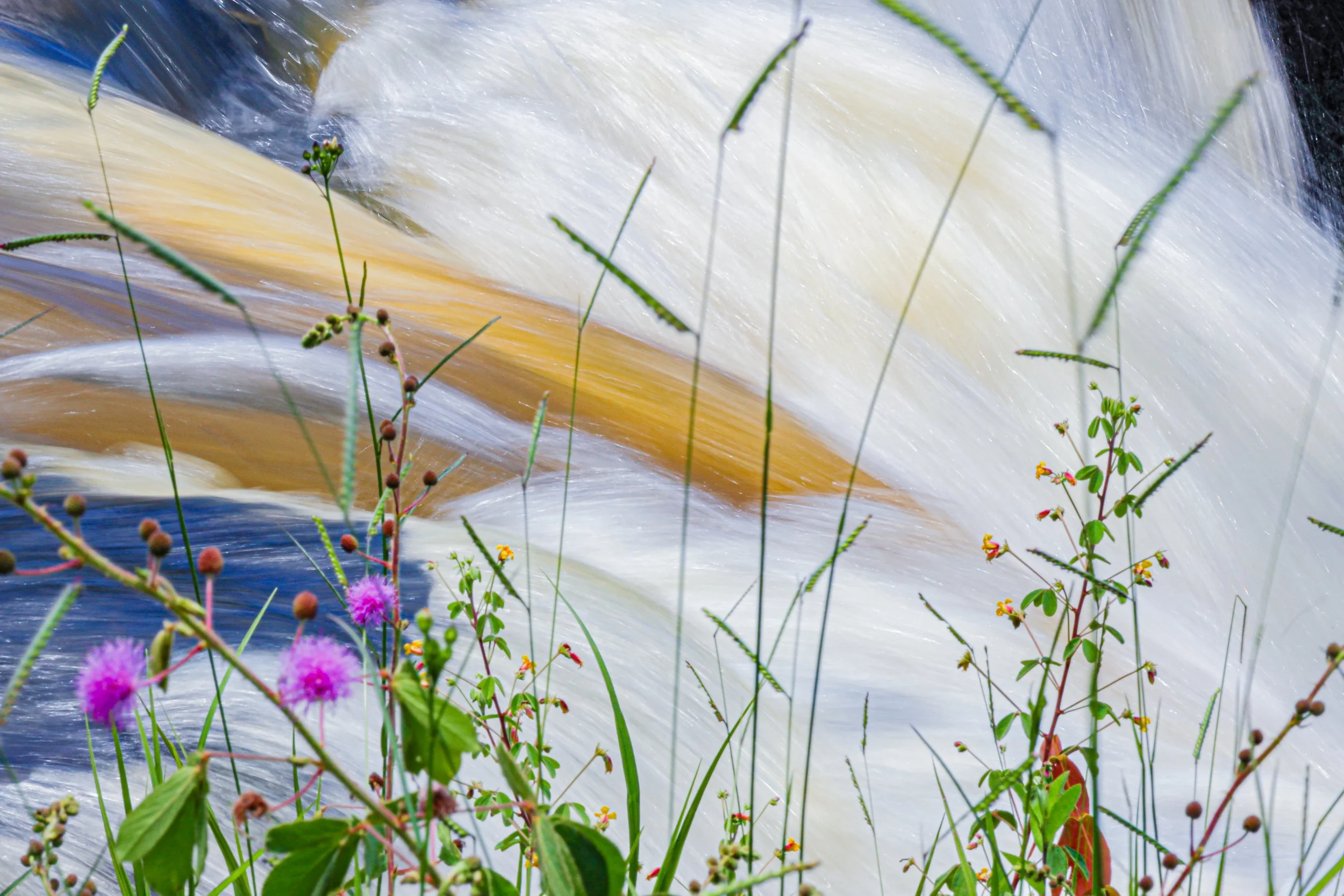 Agatha Mourao

"Silk River" 
Digital Pigment Print (Unframed)
60 x 40 cm