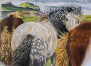 Patti Fulton - 

Pine Grove, California. "Icelandic Herd" 
Pastel on pastel mat
9 x 12 in