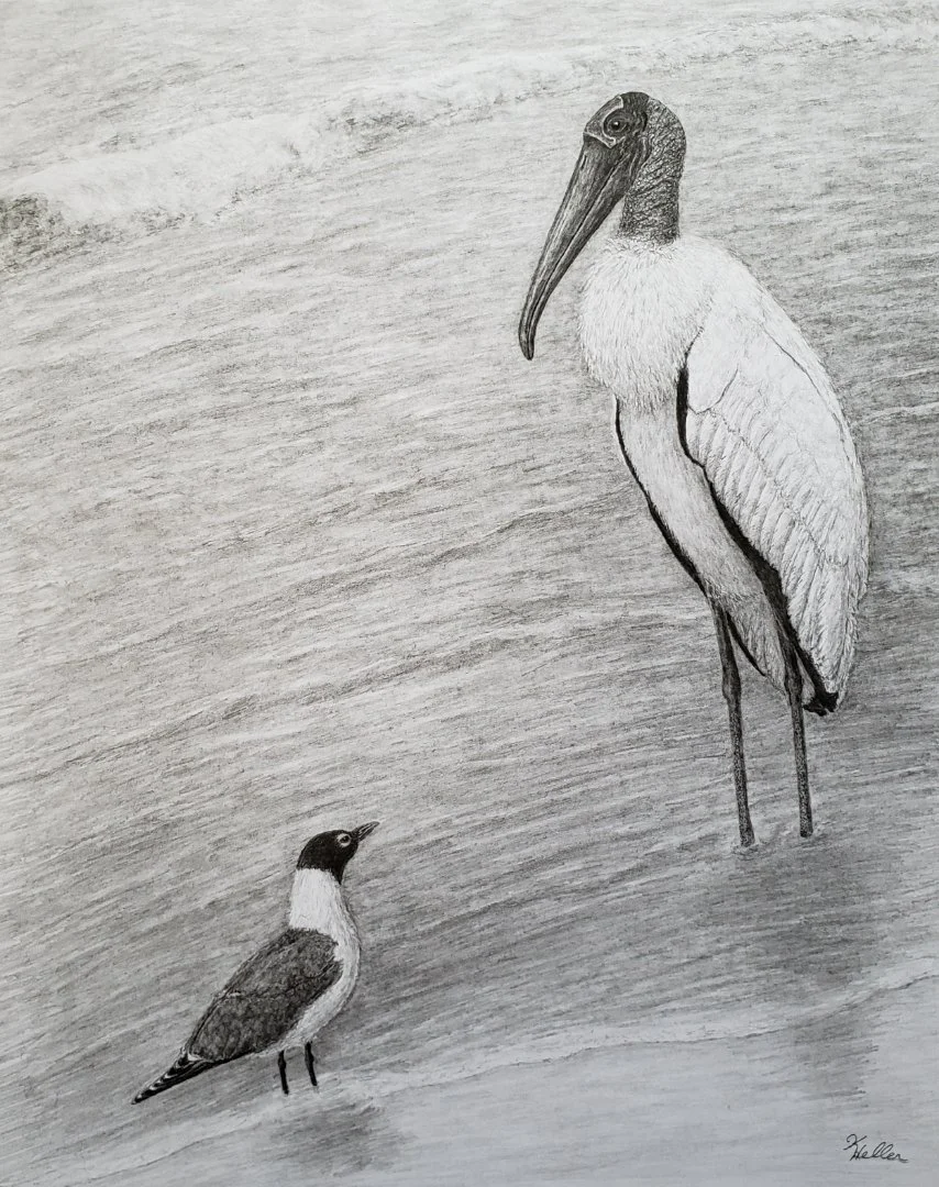 Kathryn Heller - 
Atlanta, Georgia. “The Encounter”
Graphite
12 x 15 in