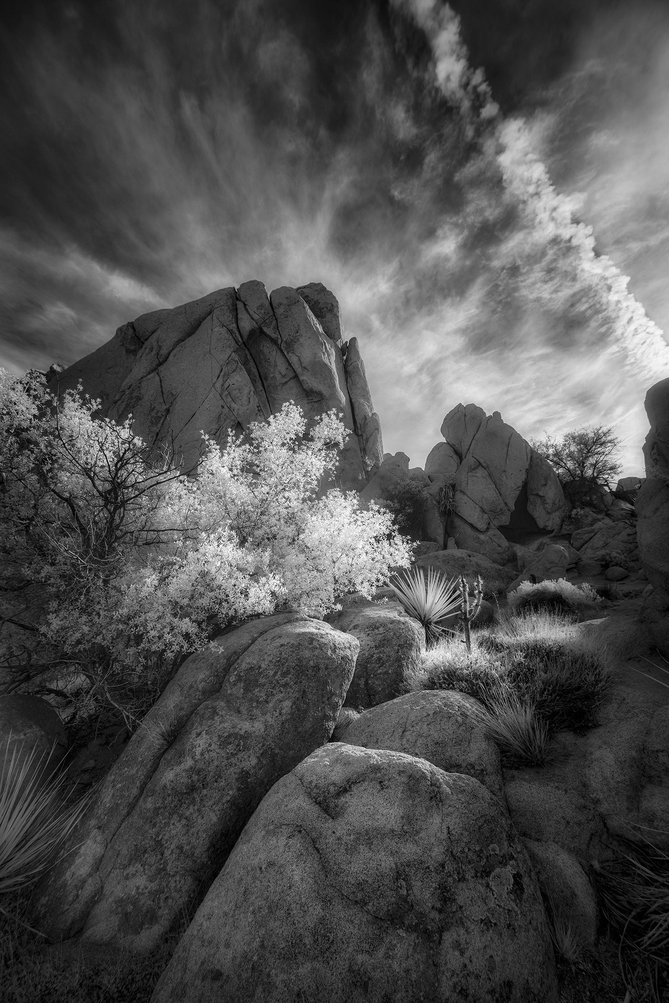 Sherri Mabe - 
Colorado. "Desert Vespers"
Archival Pigment
12 x 18 in