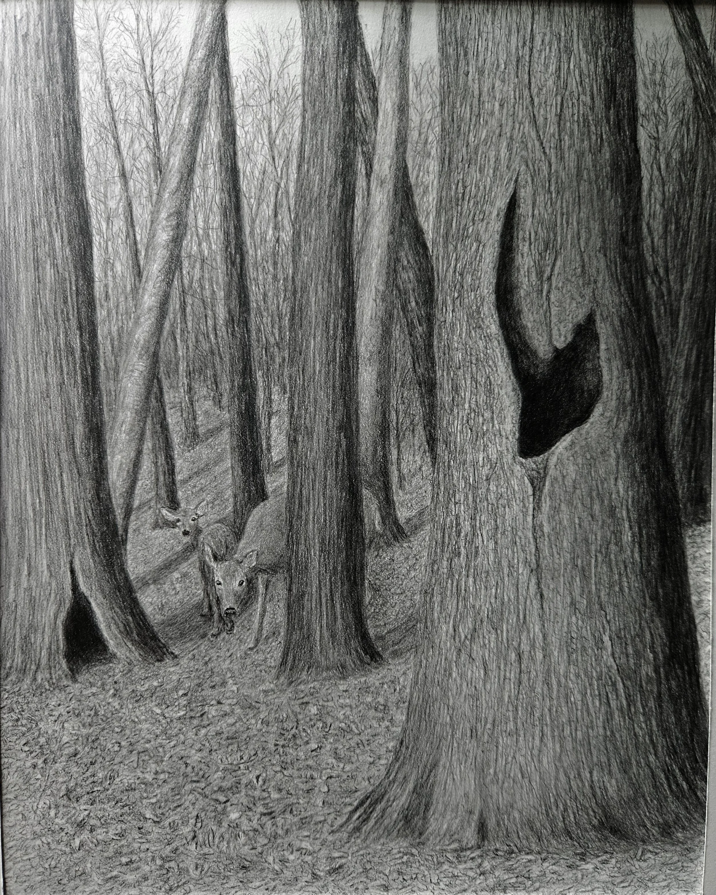Kathryn Heller - 
Atlanta, Georgia.
“Safe Haven”
Graphite on Bristol
13 x 16 in