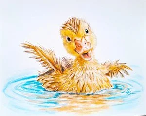 Lisa Clark - 

Pennsylvania. "Buoyant" 
Pastels
9.5 x 12 in