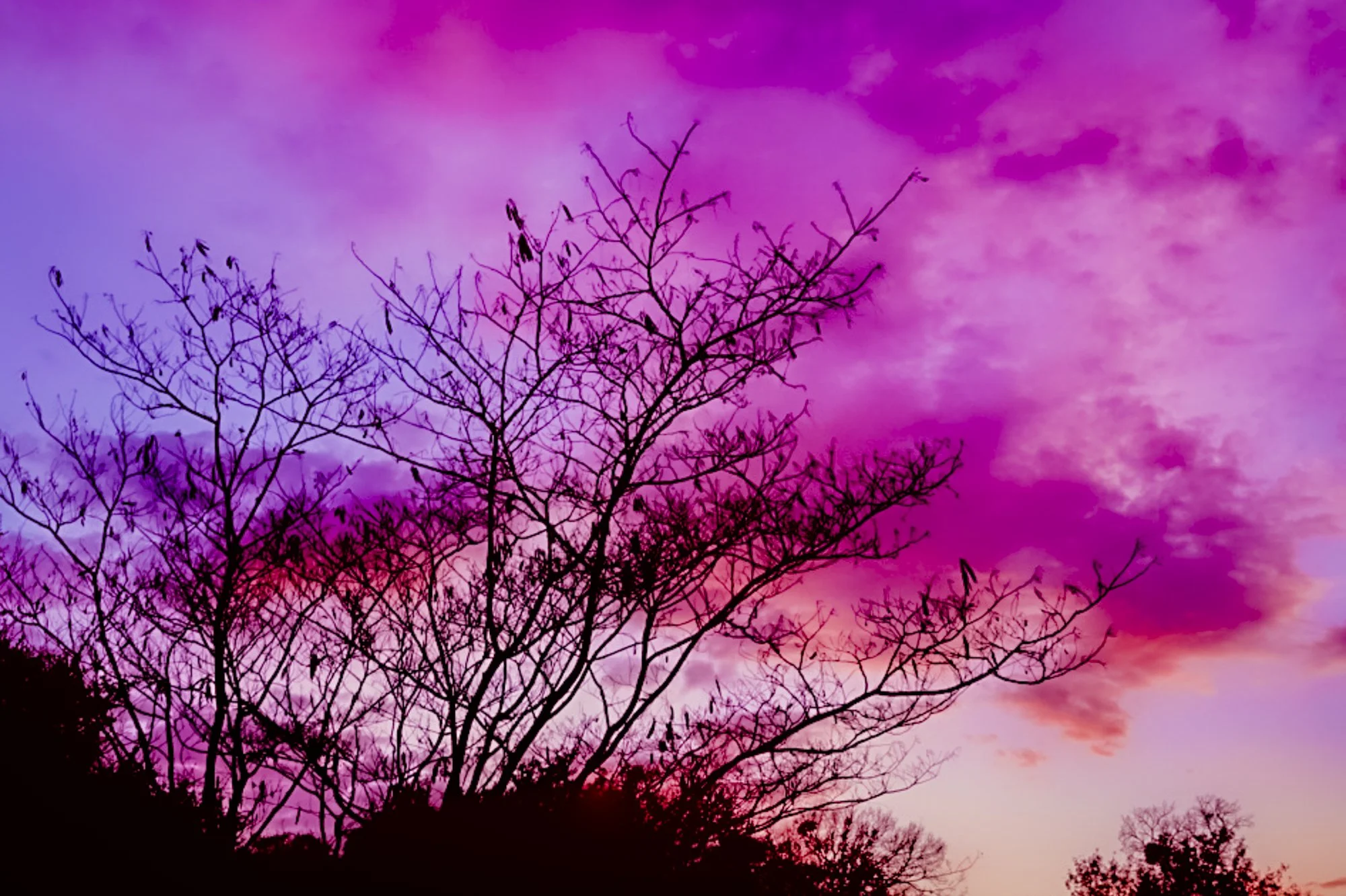 Kylo-Patrick Hart - Aledo, Texas - 

“Cotton Candy Sky,” 2022
Digital Photography
16 x 24 in
