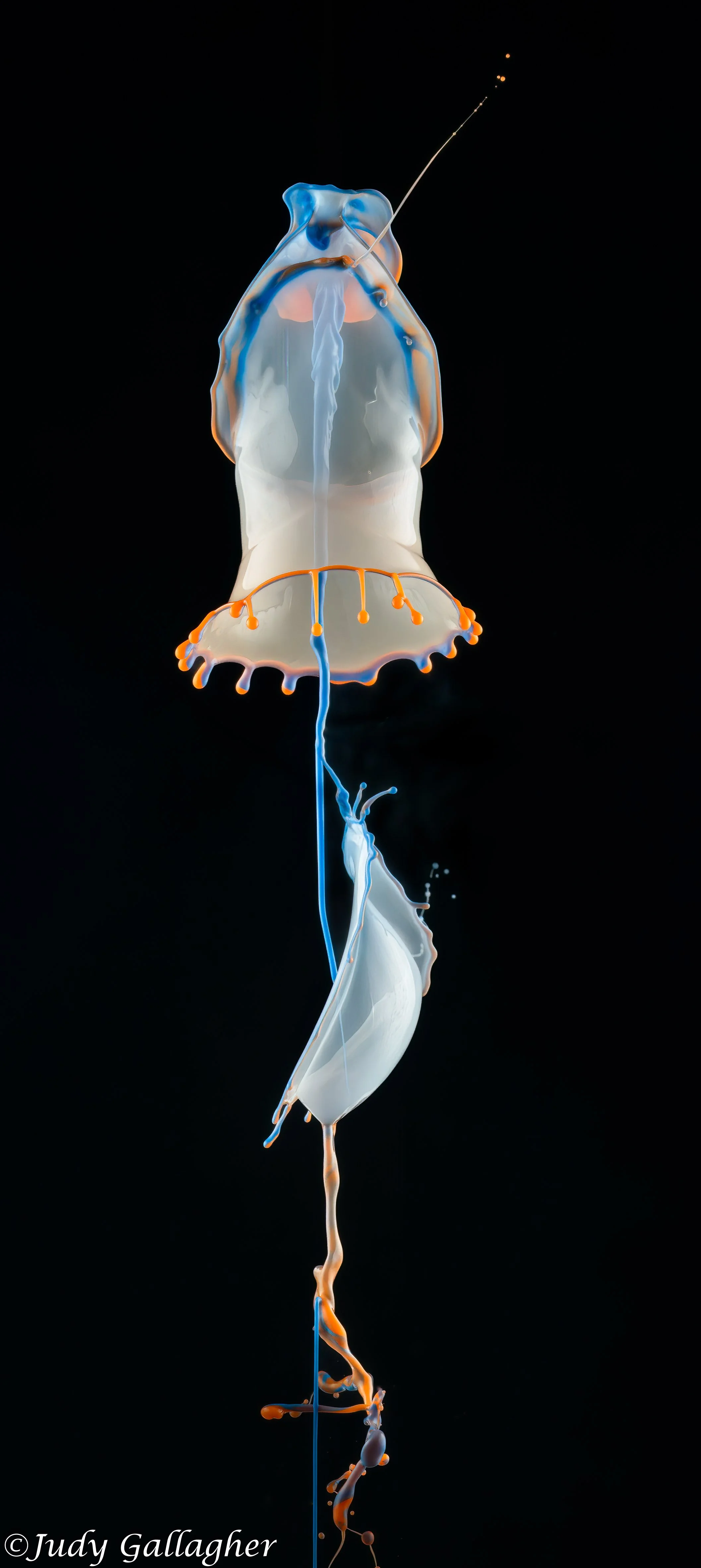 “Paint Drops”, photography. 11 in x 14 in