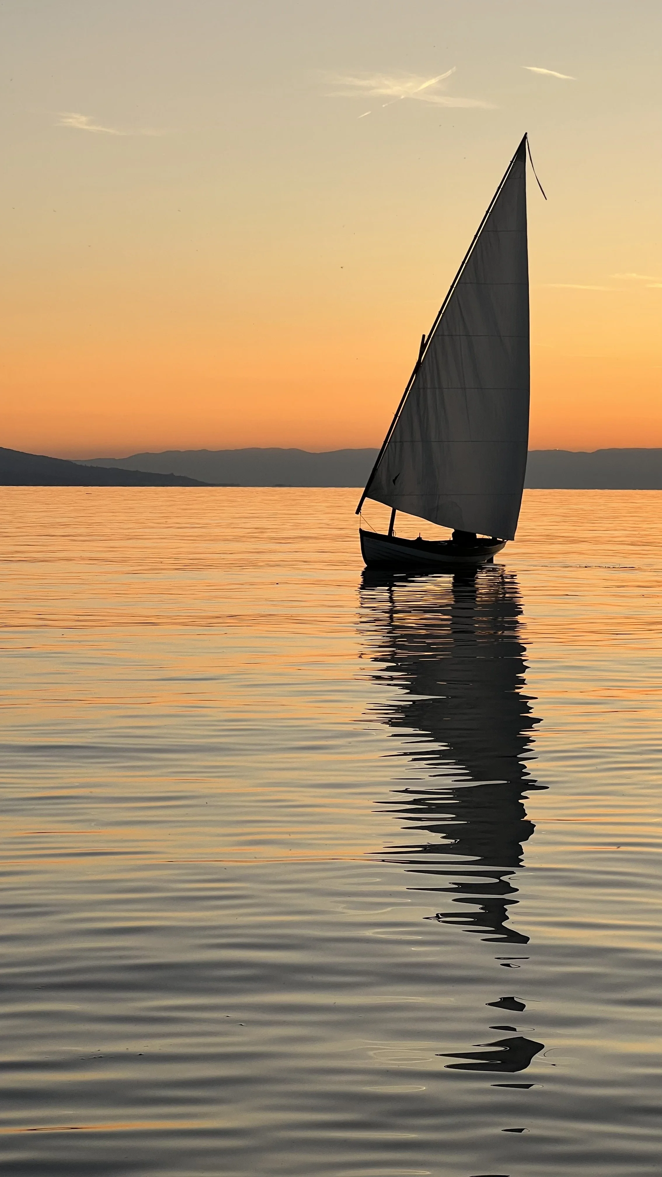 Brigitte B Burckhardt
"Sailing," 2023
Digital print
45 x 80 cm