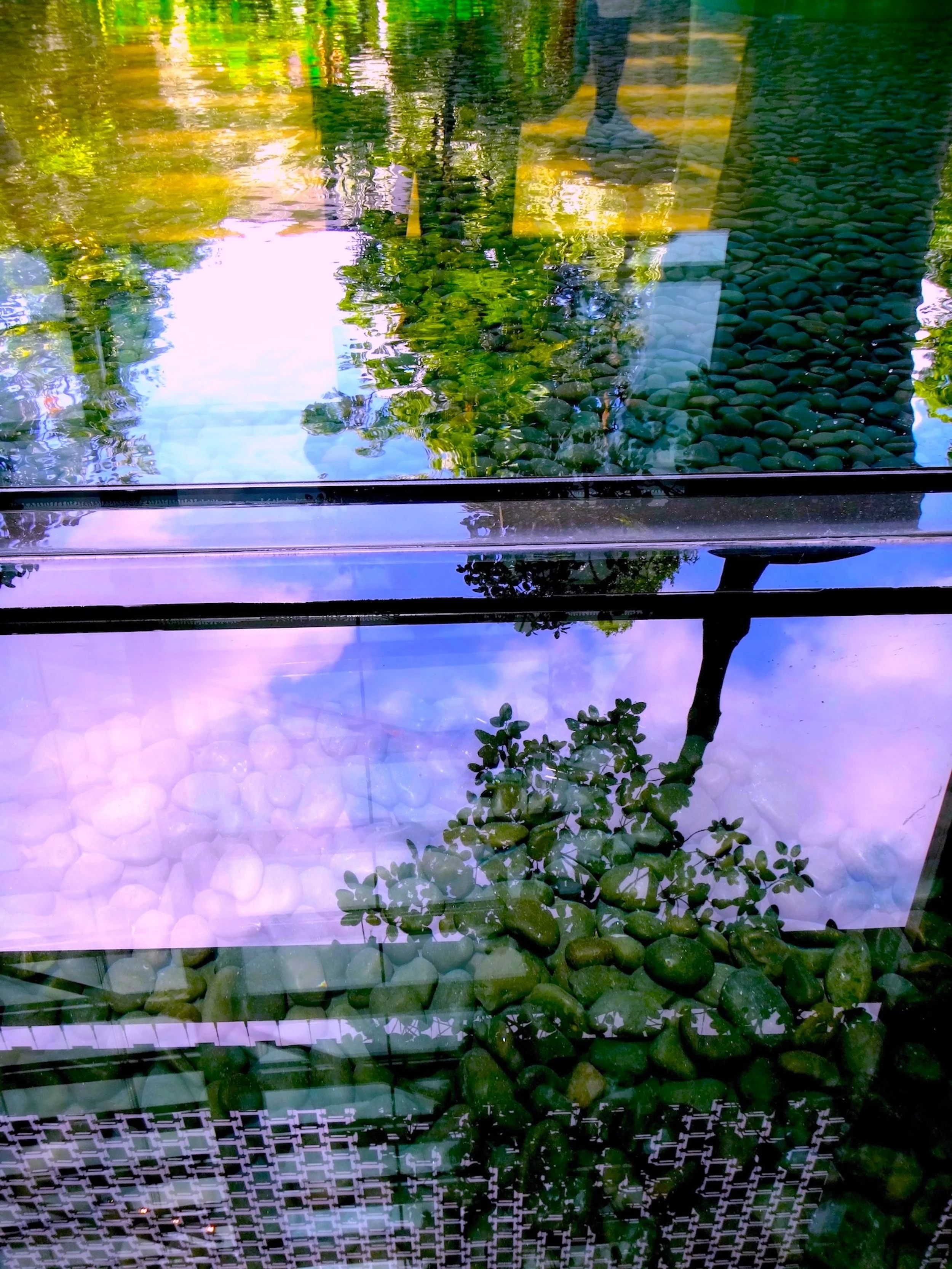 “SINGAPORE REFLECTING POOL”, 2023 BY
KAREN SAFER
PHOTOGRAPHY
AVAILABLE FOR PURCHASE: $800
-
LOCATION: USA
HTTPS://WWW.ARTFOCUSIN.COM
