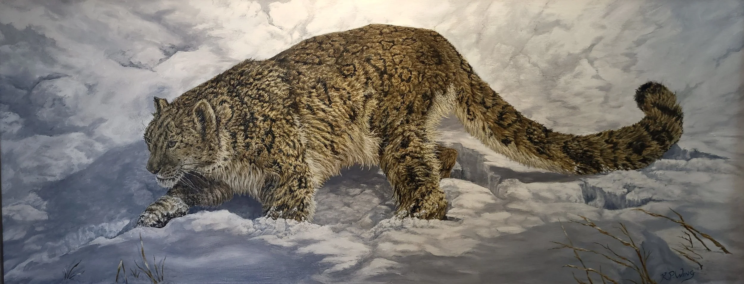 “Snow Leopard on the Prowl” Oil on canvas. 40 × 16 in by 1st Place winner, Keith Wing in the “Animal Kingdom” Online Exhibit 