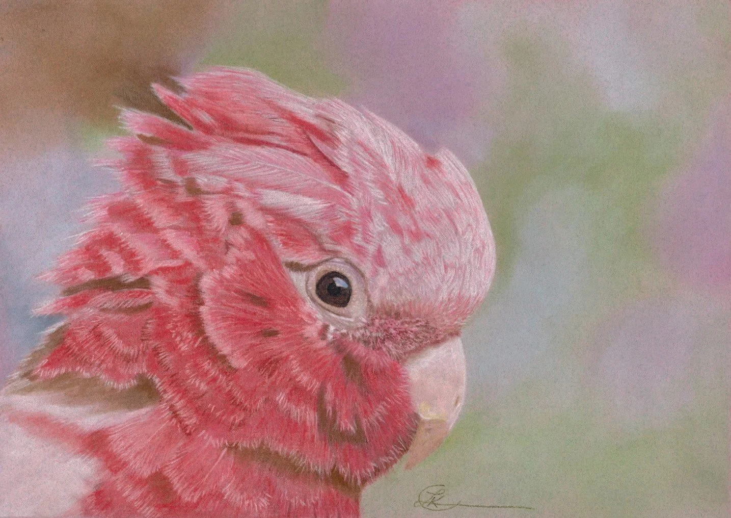 Lisa Clark - Cheltenham, Pennsylvania - 

"Rosy Disposition," 2024
Pastels
7.5 x 10.5 in