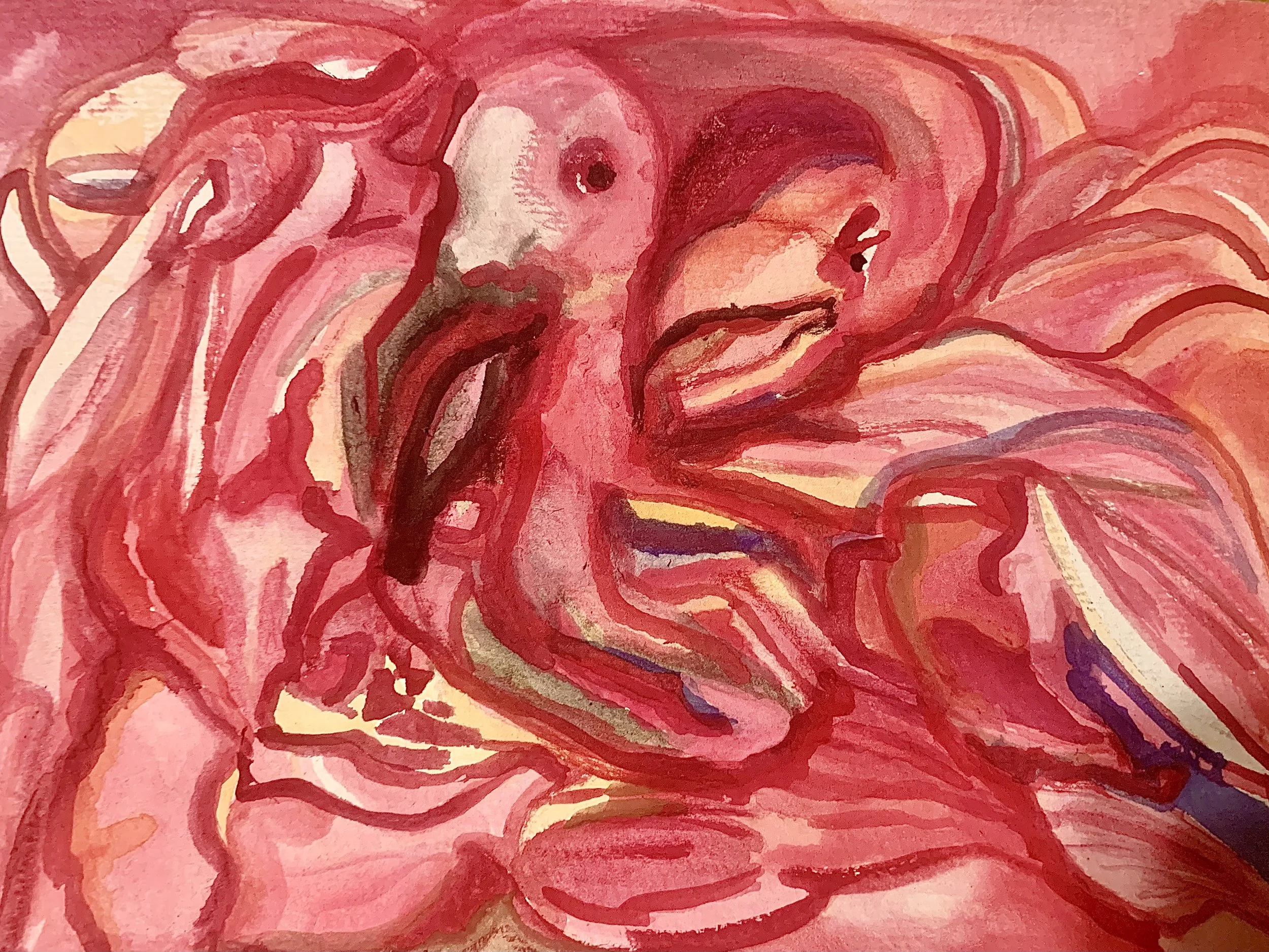 Josie Levin - Chicago, Illinois - 

"Flamingo Divorce," 2026
Watercolor on paper
8 x 10 in