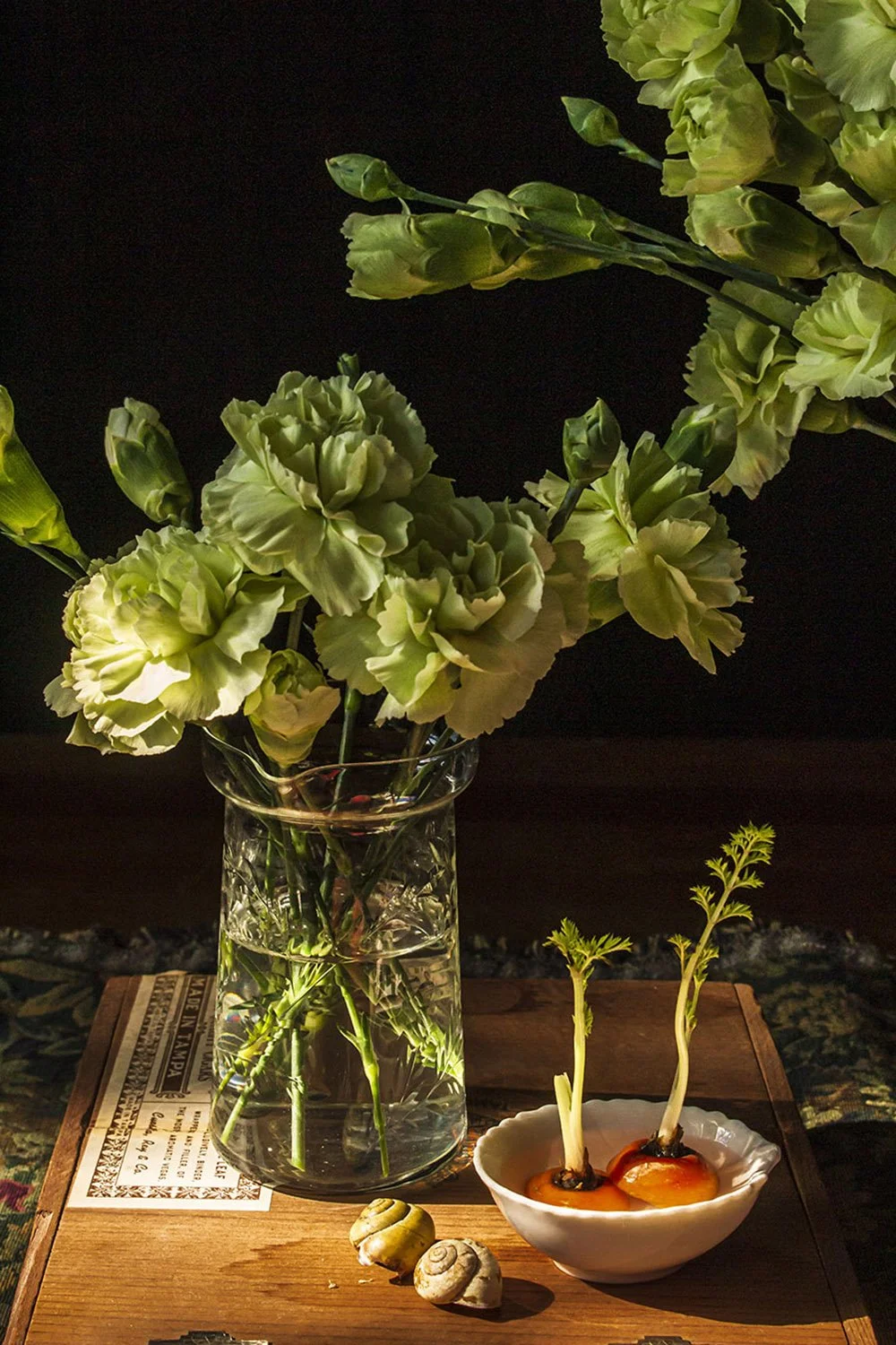“Green Carnations”, photography. 12.5 in x 19 in