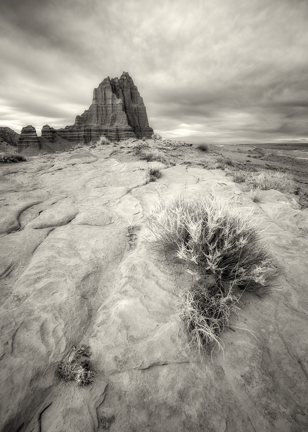 "Bones of the Land," 12in x 18in, Archival Pigment, Infrared Photography