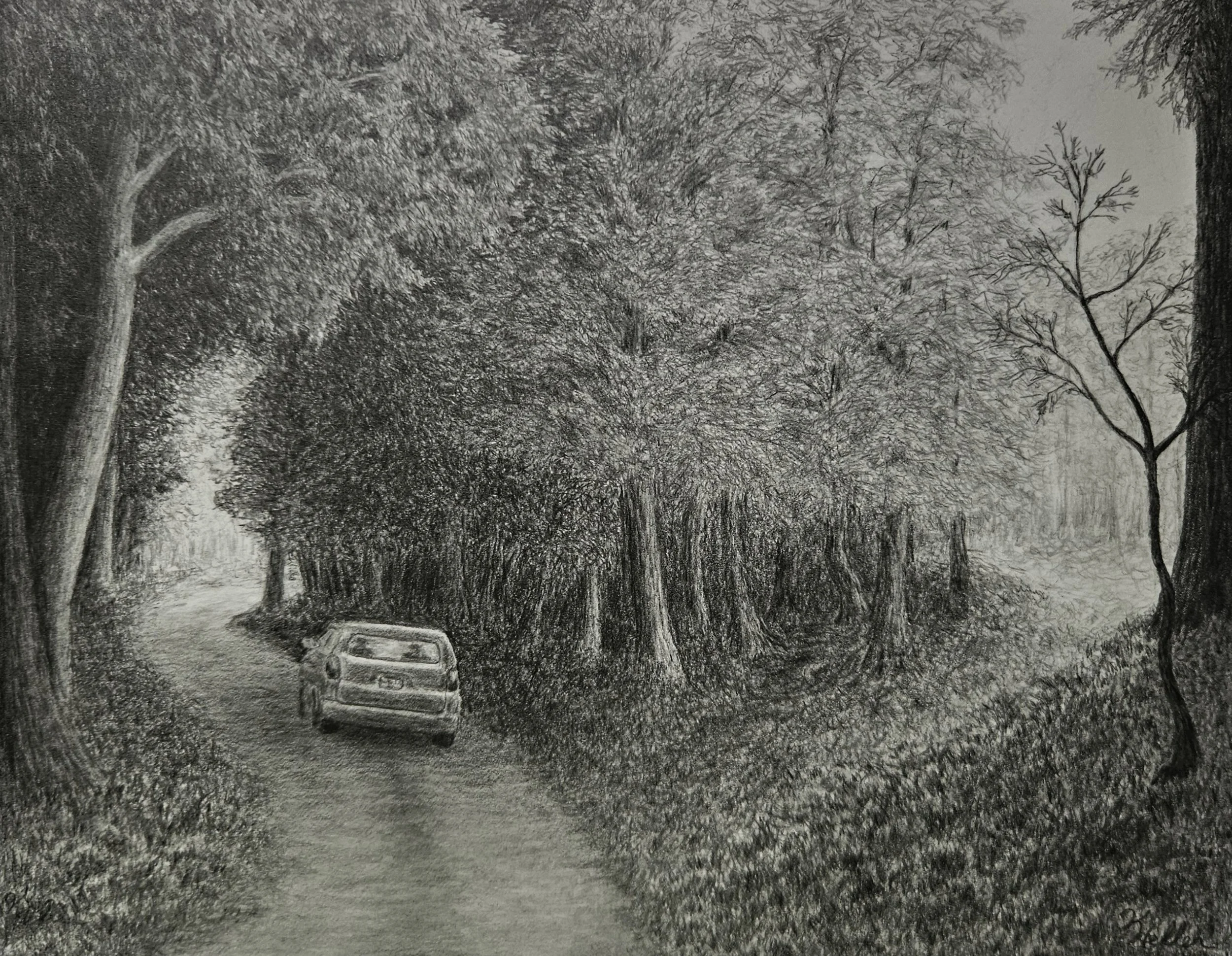 Kathryn Heller - 
Atlanta, Georgia. “Gone”
Graphite
10 x 8 in