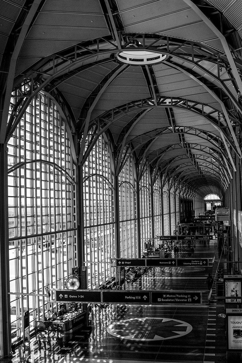 “Cathedral of Flight” 
12 in x 18 in, photography