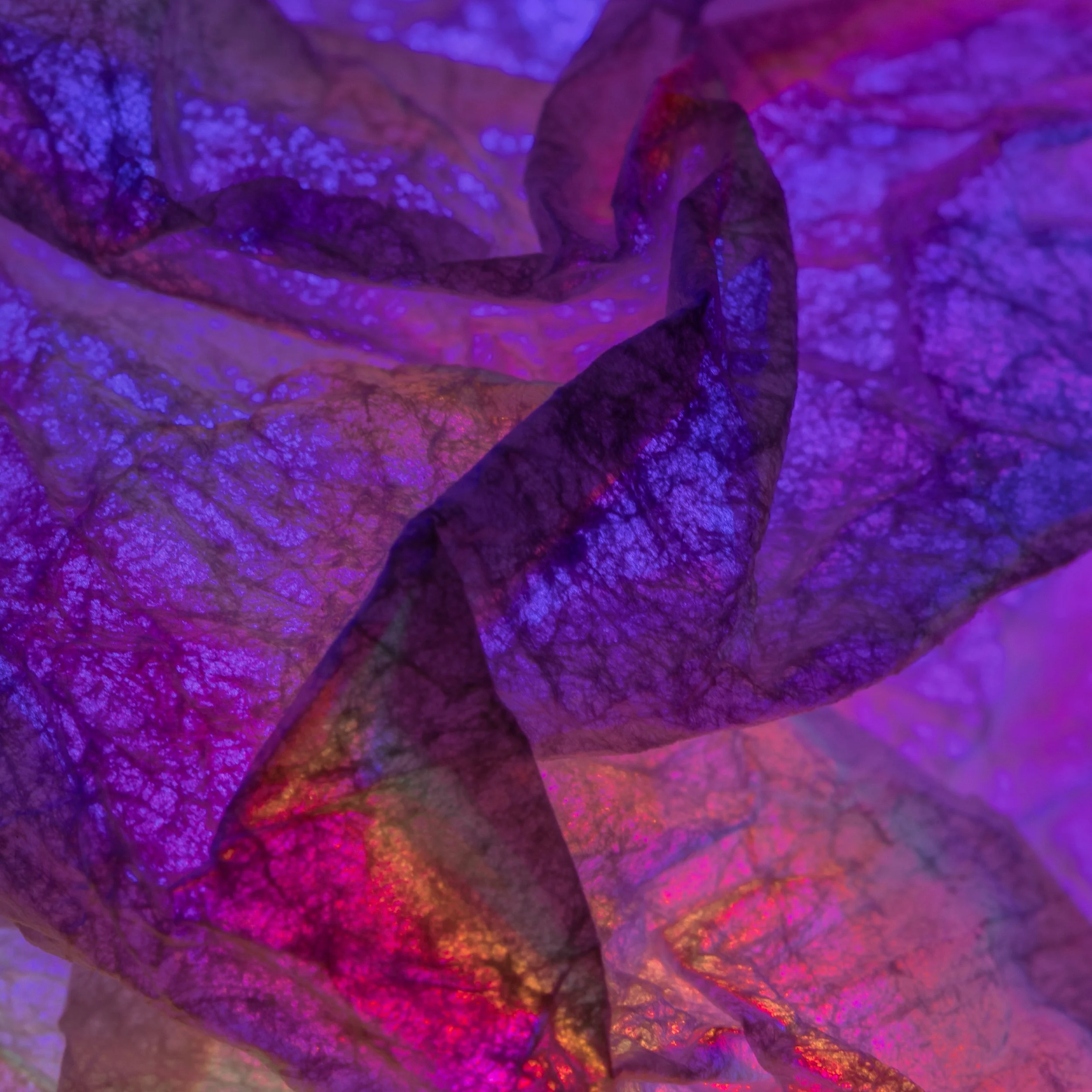 Koula Pratsis - Perth - “Residue of the Quiet Threshold” 
Macro photograph using translucent paper, glass and controlled chromatic illumination
60 × 60 cm