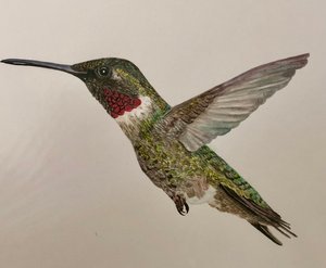 Teri Goetz - 

Millerton, New York. "Suspended" 
Watercolor on deckled paper, framed
7 x 5 in