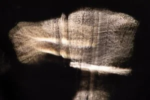 Koula Pratsis - 

Perth. "Remnant Light (Bone Study I)" 
Macro photography — light refracted through glass
57 x 38 cm
