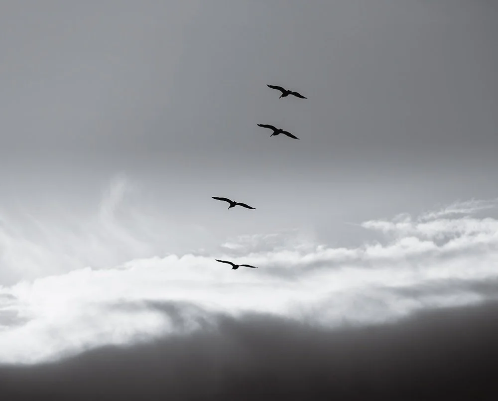 Brian Greminger - 
Ann Arbor, Michigan. “Dawn Patrol"
Photograph
24 x 20 in