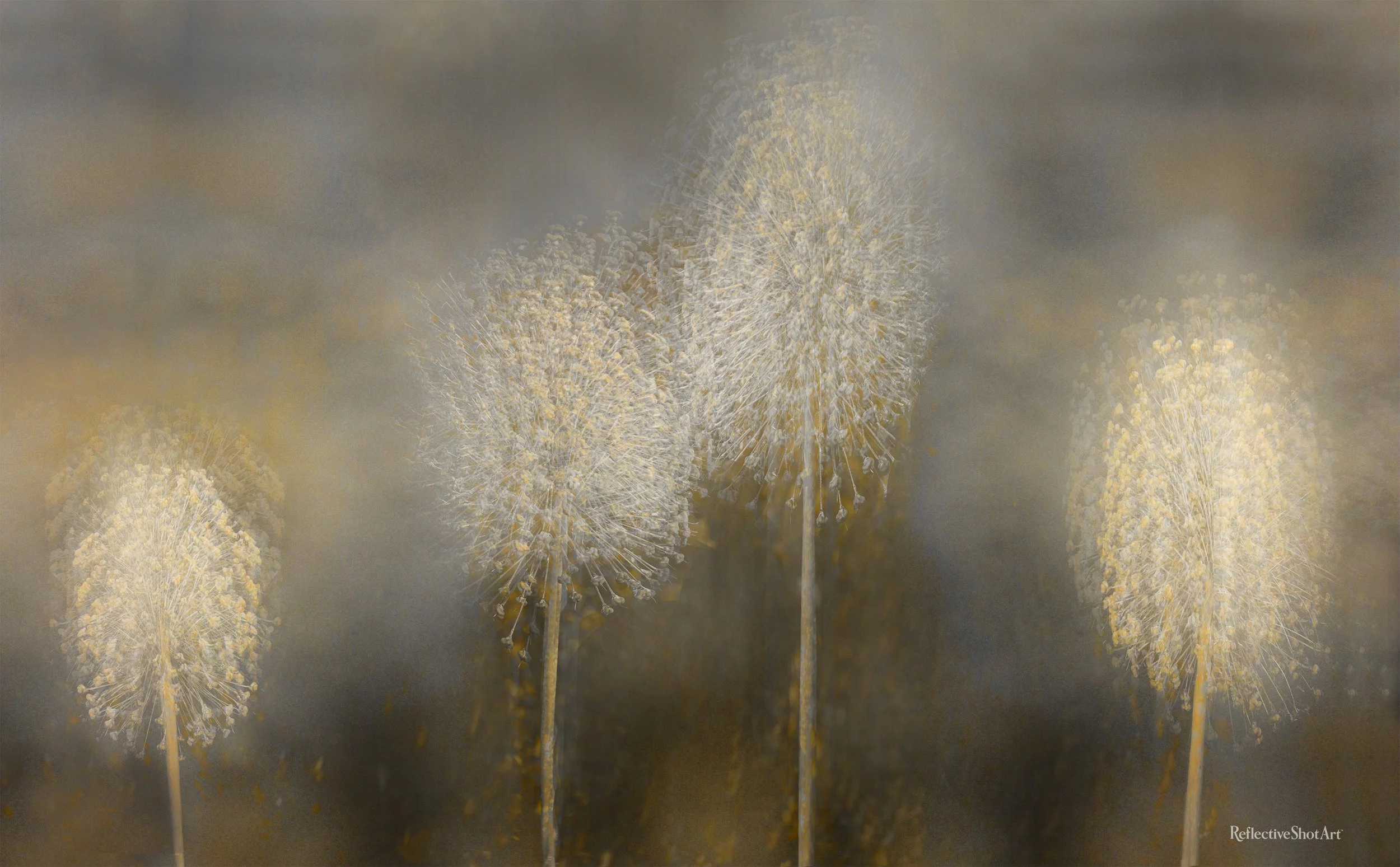 Pam Fisher-Vail - Sunbury, Ohio - "Tia Nguvu” 
Digital Print
48 × 30 in