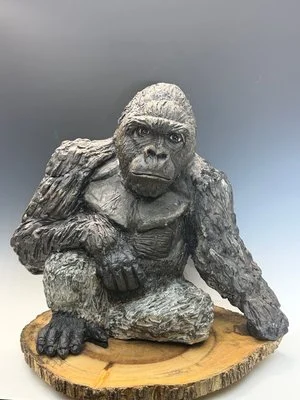 Peggy Albers - 

Decatur, Georgia. "Western Lowland Silverback Gorilla" 
Clay
17 x 19 in