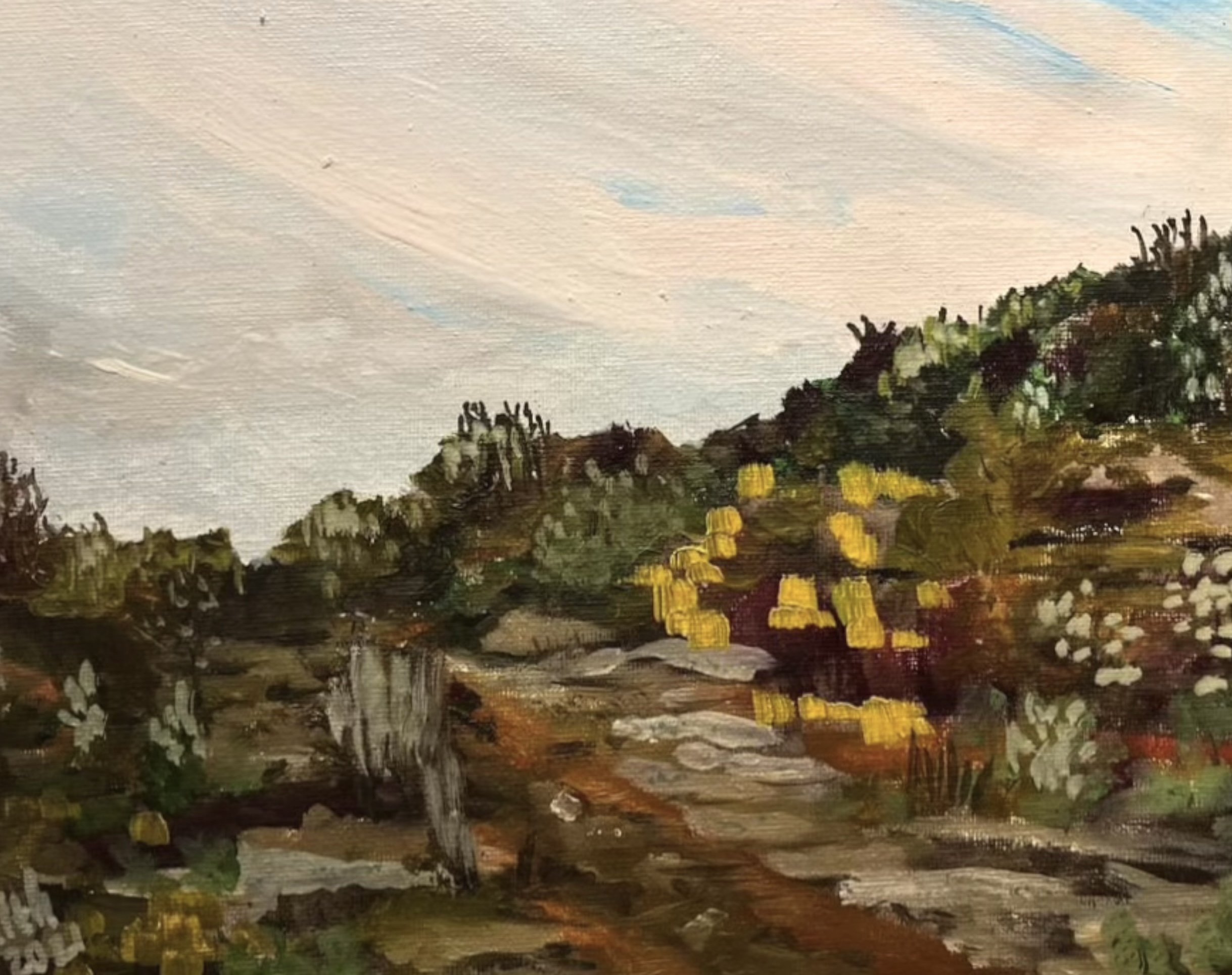 "Madrone Hill #1" 31 cm x 20 cm, oil on canvas