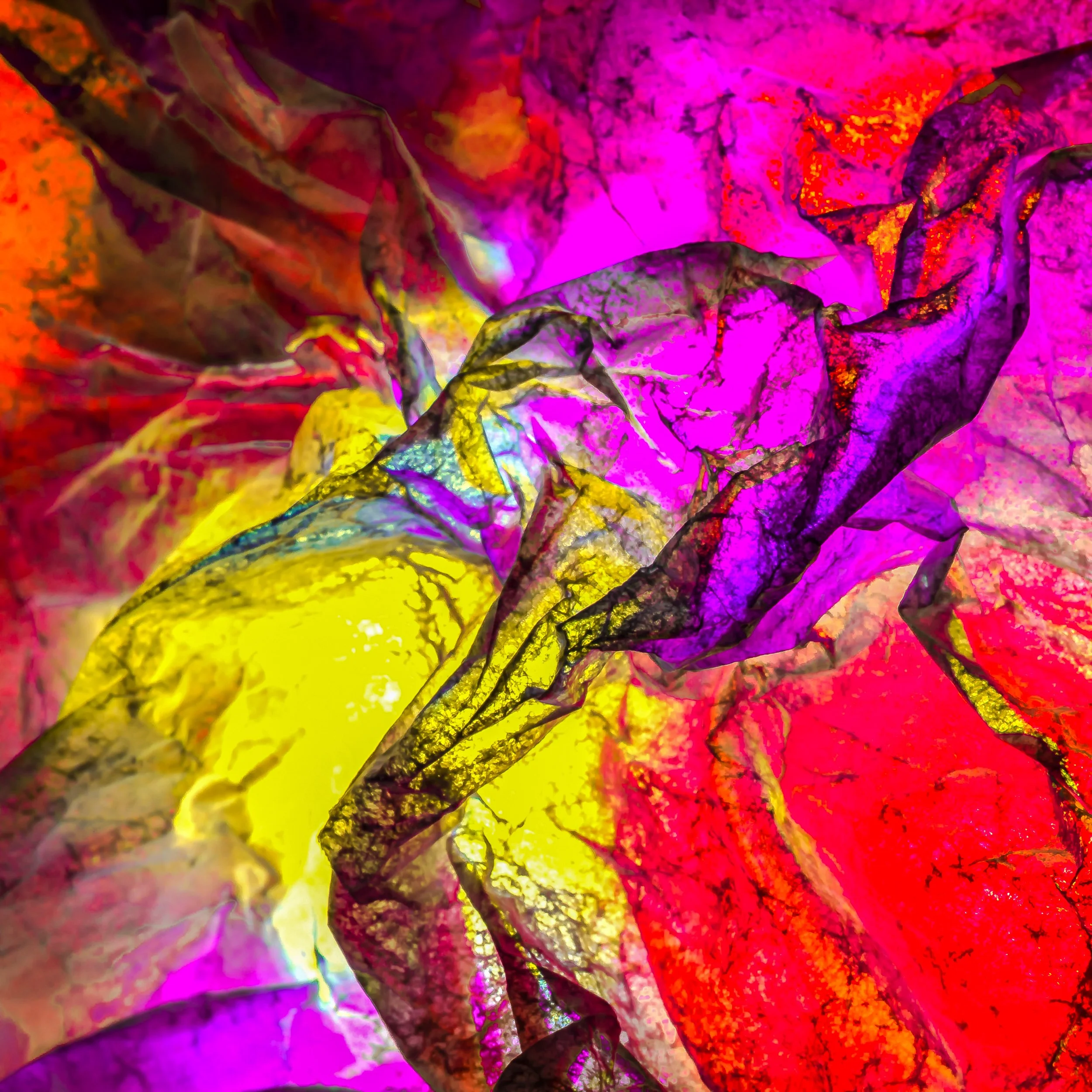 Koula Pratsis - 
Western Australia.

"Chromatic Creature" 
Macro photography (light refracted through glass)
16 x 16 in
