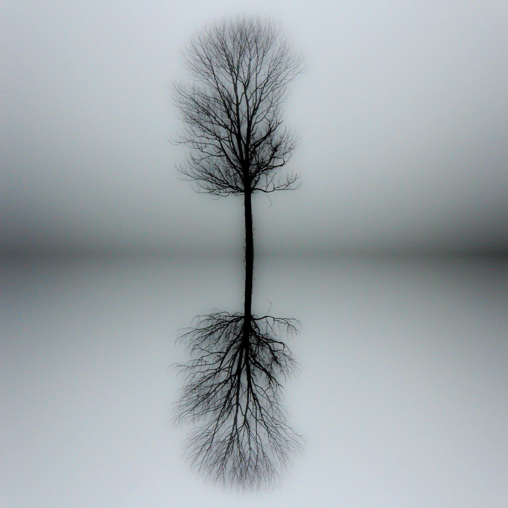 John McCluskey -
Connecticut. “Reflection”
Photography
10 x 10 in