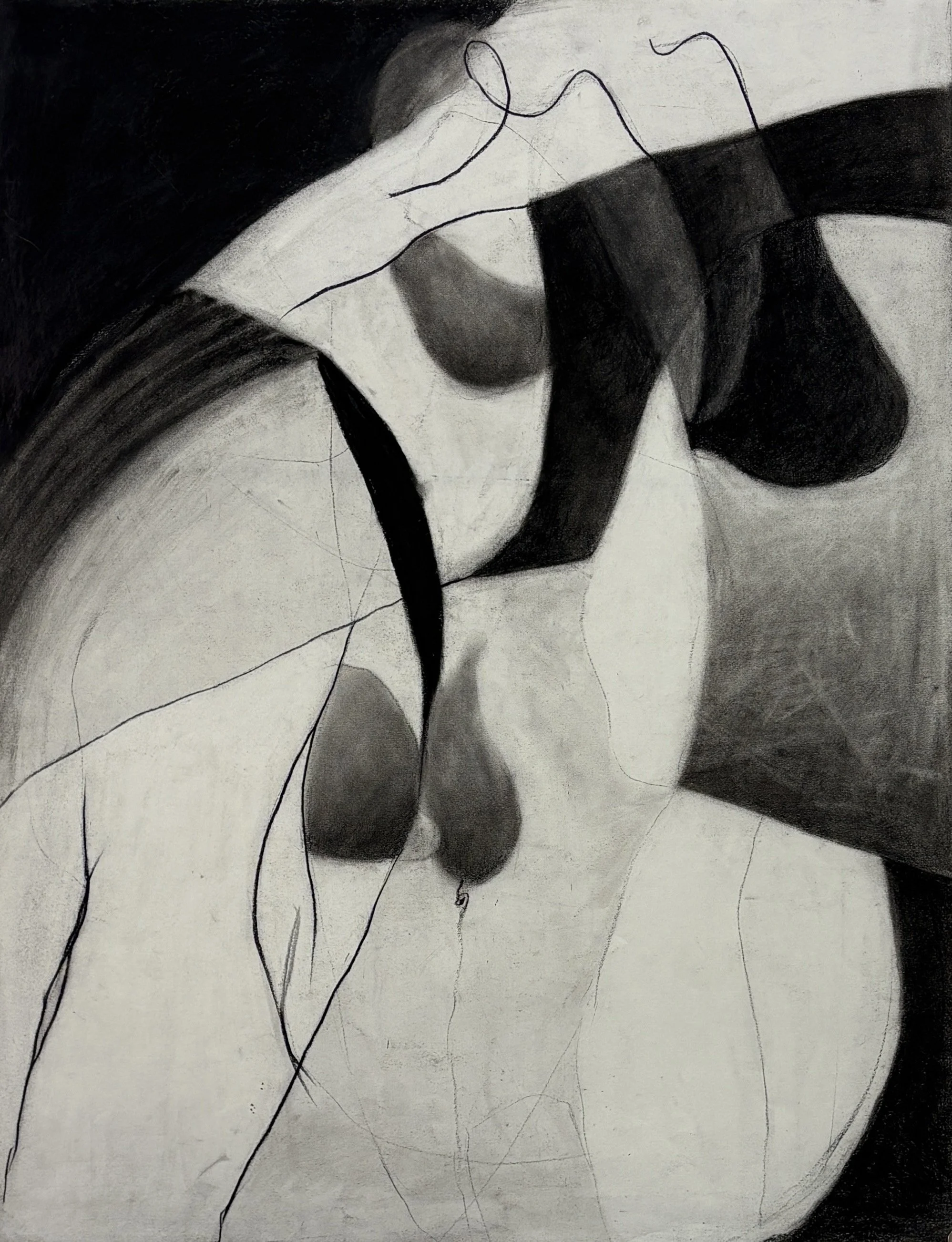 Denise Owen - 
Oakland, California. “Cynthia & Honey”
Charcoal on paper
18 x 24 in