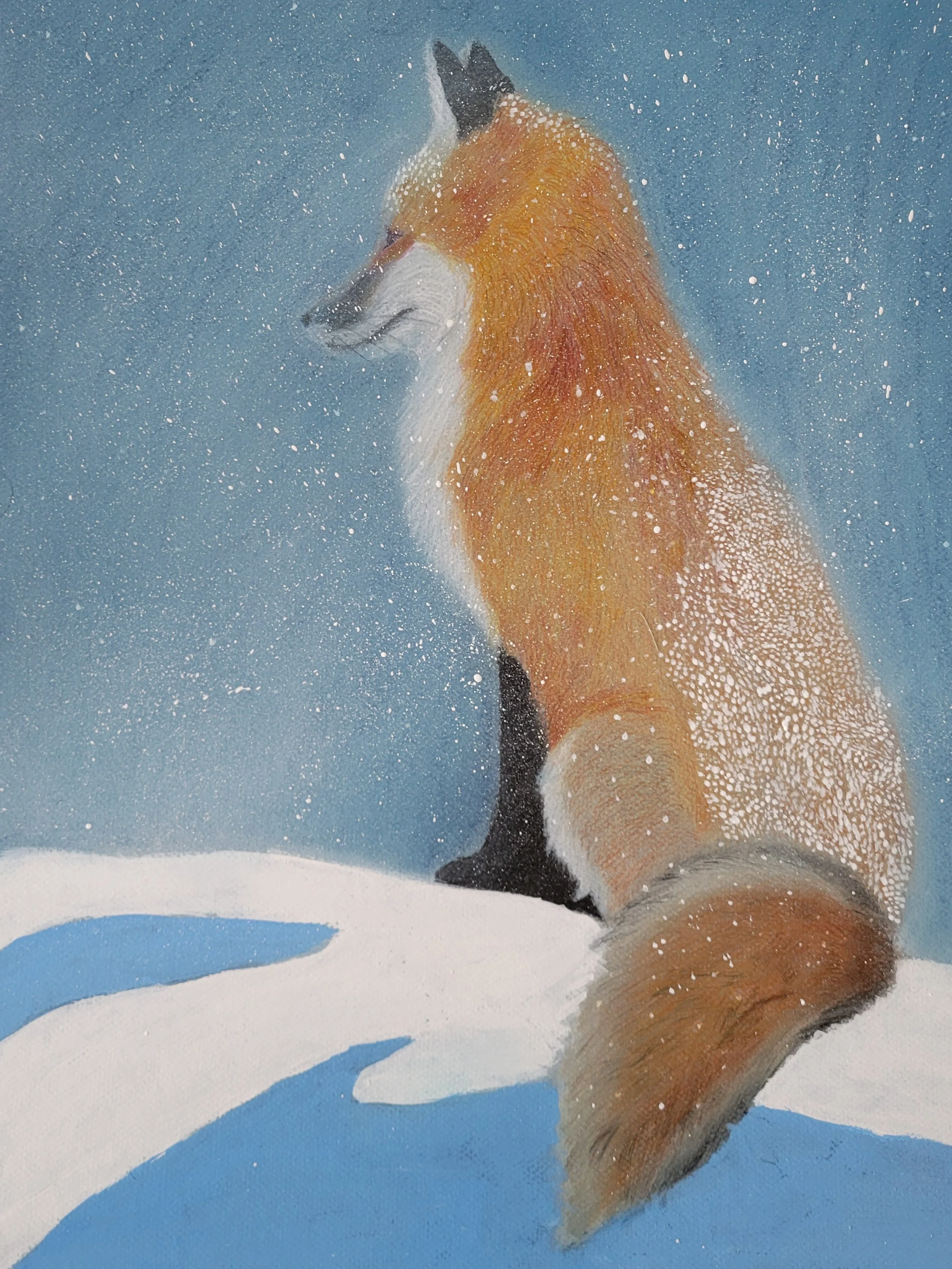 “WINTER EMBRACE”, 2025 BY MICHAEL
PUTORTI
16 IN X 20 IN. CHARCOAL PASTELS AND
ACRYLIC PAINT
-
LOCATION: GROVE CITY, PA (USA)
