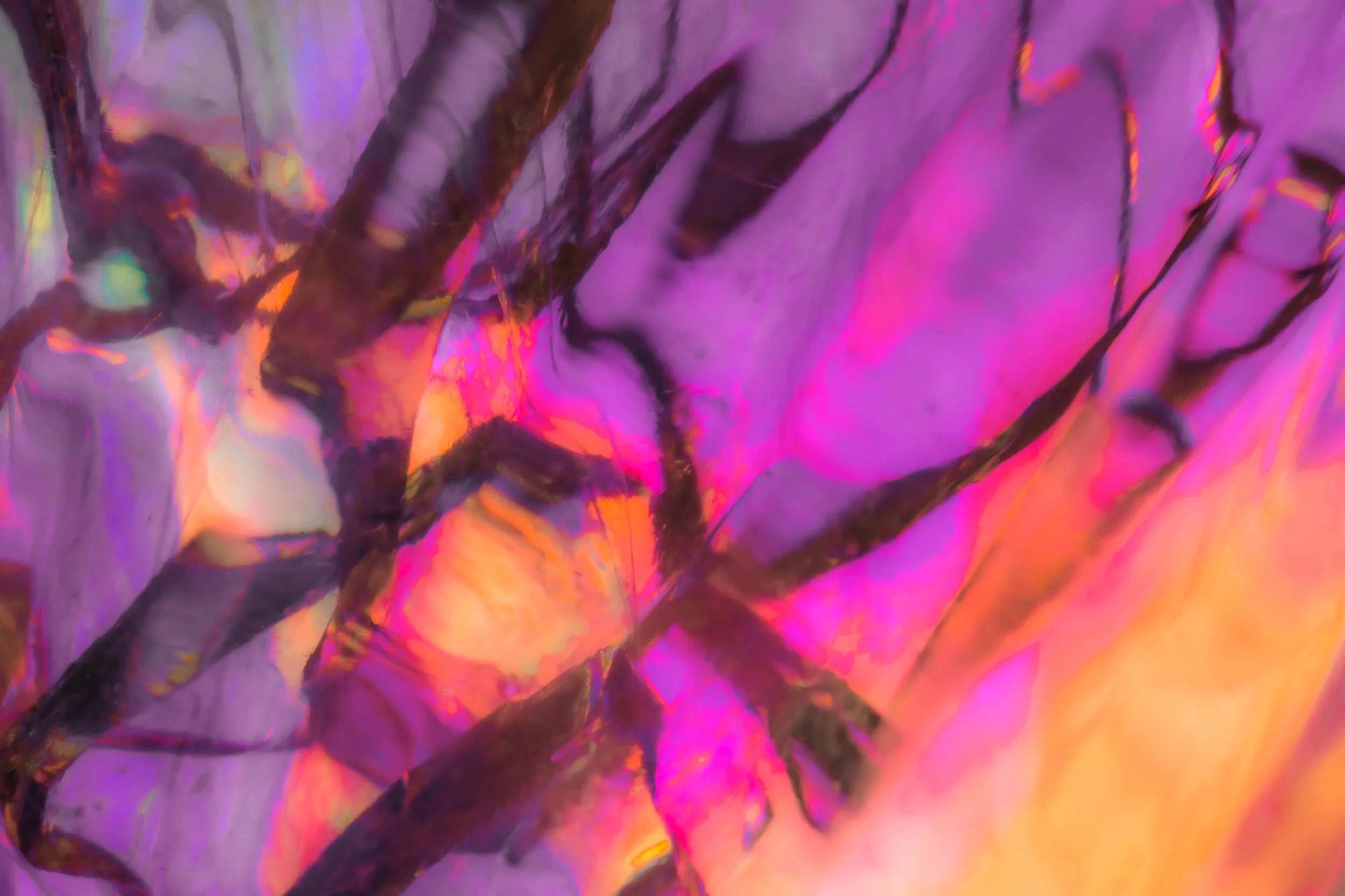 Koula Pratsis
Western Australia
"Fractured Light," 2026
Macro photography — light refracted
through broken glass
60 x 40 cm