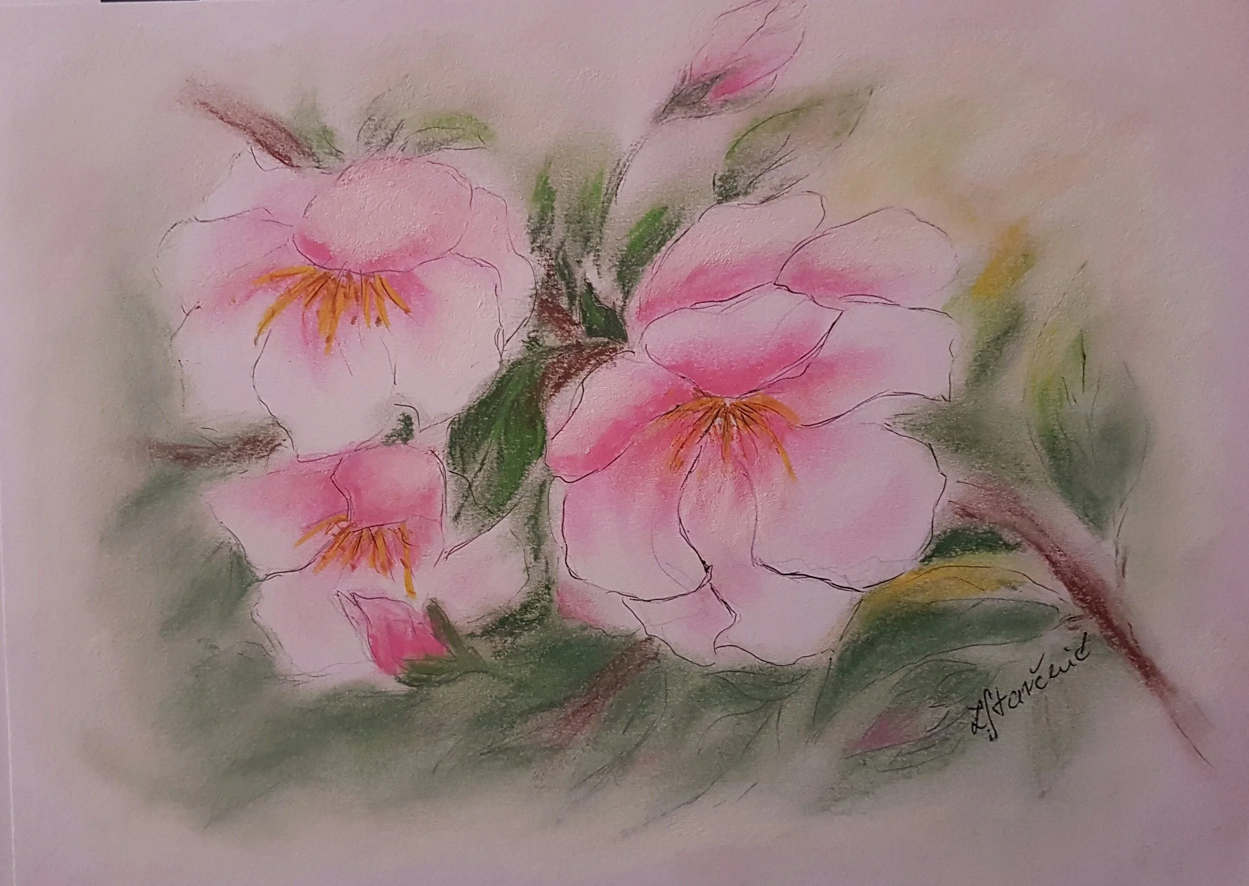 Zdenka Starčević - Rijeka, Croatia - 

"Flower," 2025
Dry pastel
A4