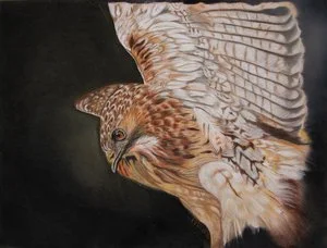 Patti Fulton - 

Pine Grove, California. 
"Wind Walker" 
Pastel on pastel mat
16 x 12 in