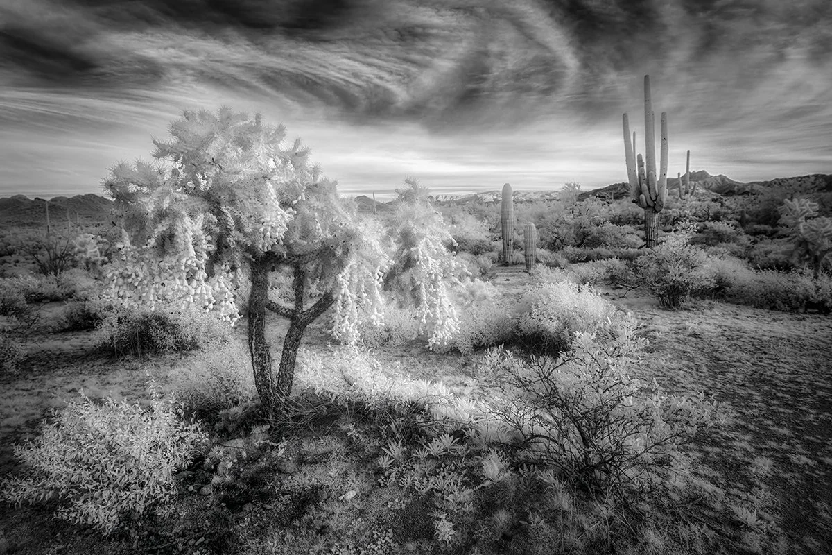 Sherri Mabe - 
Colorado. "Ethereal Sonoran"
Archival Pigment
18 x 12 in