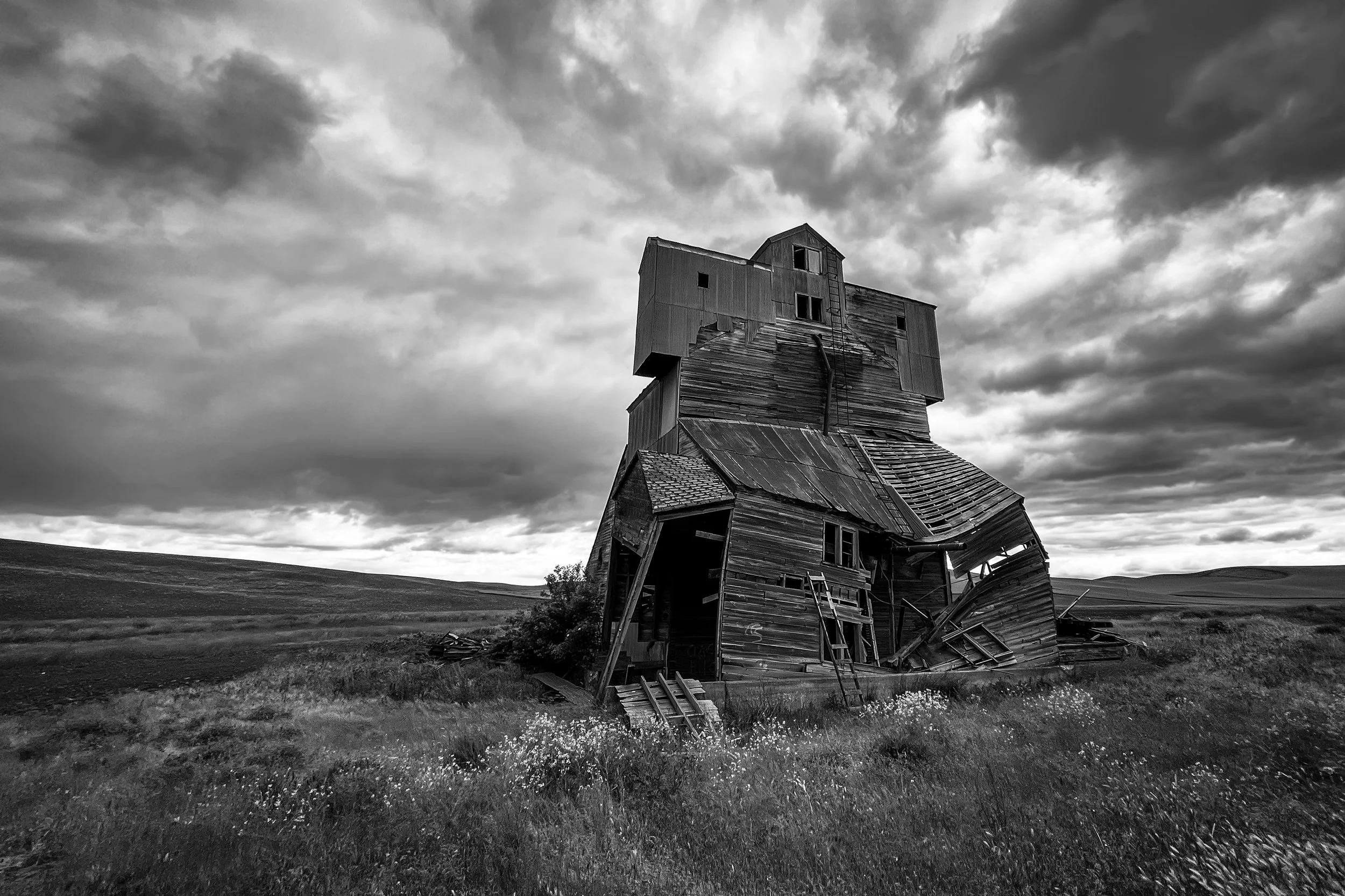 “The Drama of Decay,” 18 x 12 in, photography, archival pigment print.