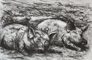 Randy Carboni - 

Bethel, Connecticut.  "Resting Pigs" 
Charcoal
22 x 15 in