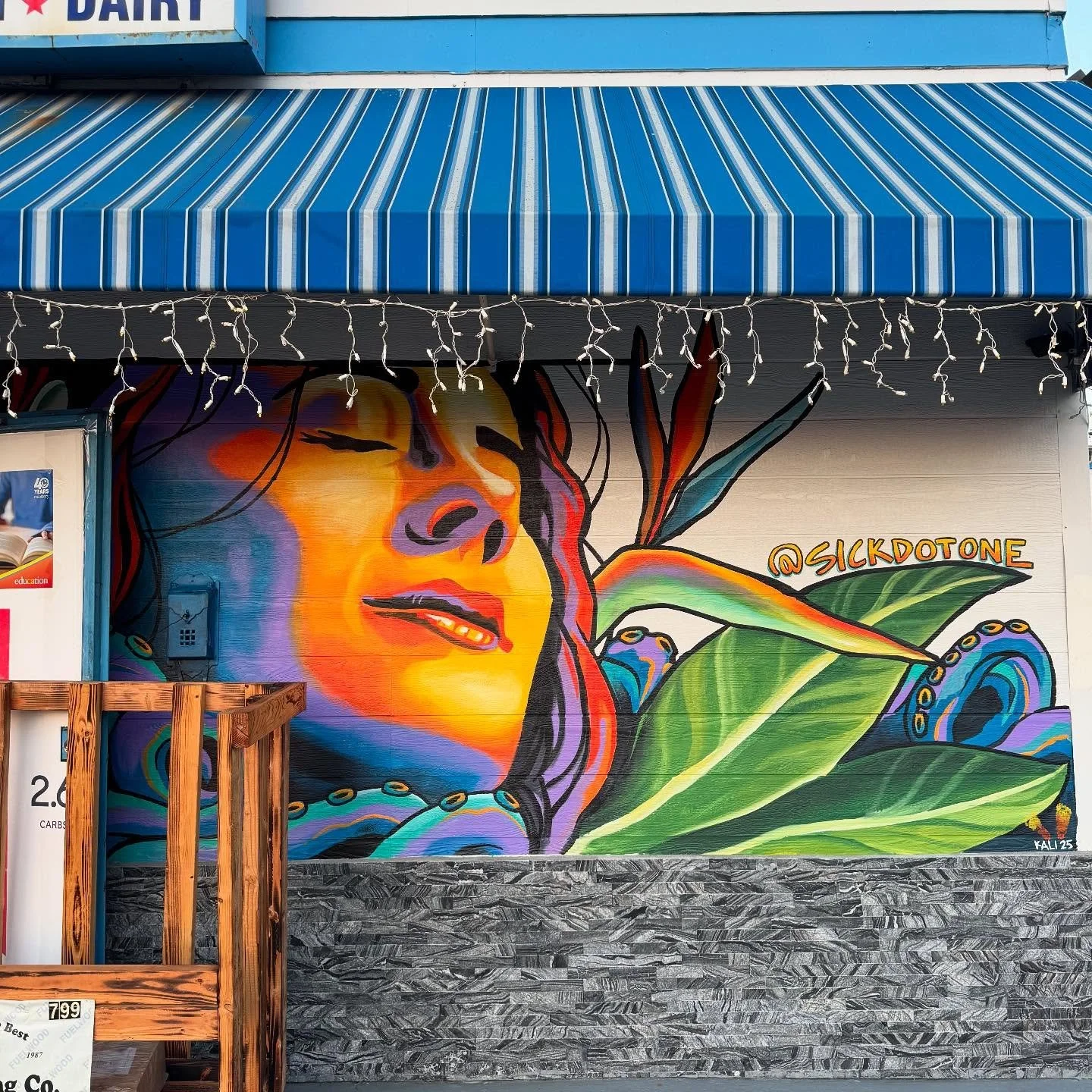 Have you seen the new mural that just went up at American Market? It&rsquo;s located at Meade &amp; Cleveland&hellip;go check it out! It&rsquo;s beautiful! While you&rsquo;re at it, stop in for an ice cream sandwich, some chips, or your favorite bott