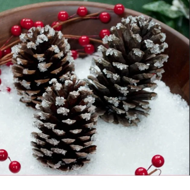 Is It 2026 Yet? Sustainable Living and Waste Management in University Heights