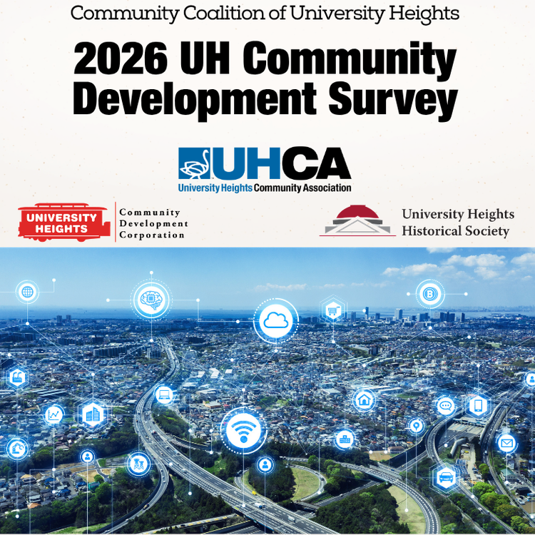 Foundations for the Future: Survey Results