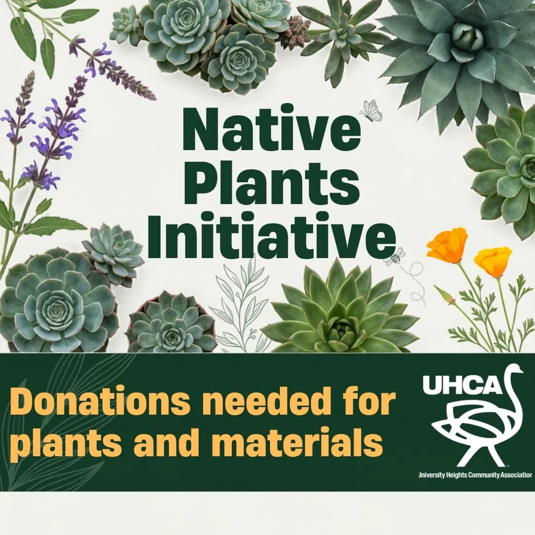 Our volunteer team has been working hard this year maintaining our native biodiversity garden and we are now announcing our annual fundraiser. This fall we will transform Park Blvd in front of the Birney Elementary Joint Use Field with native plants 