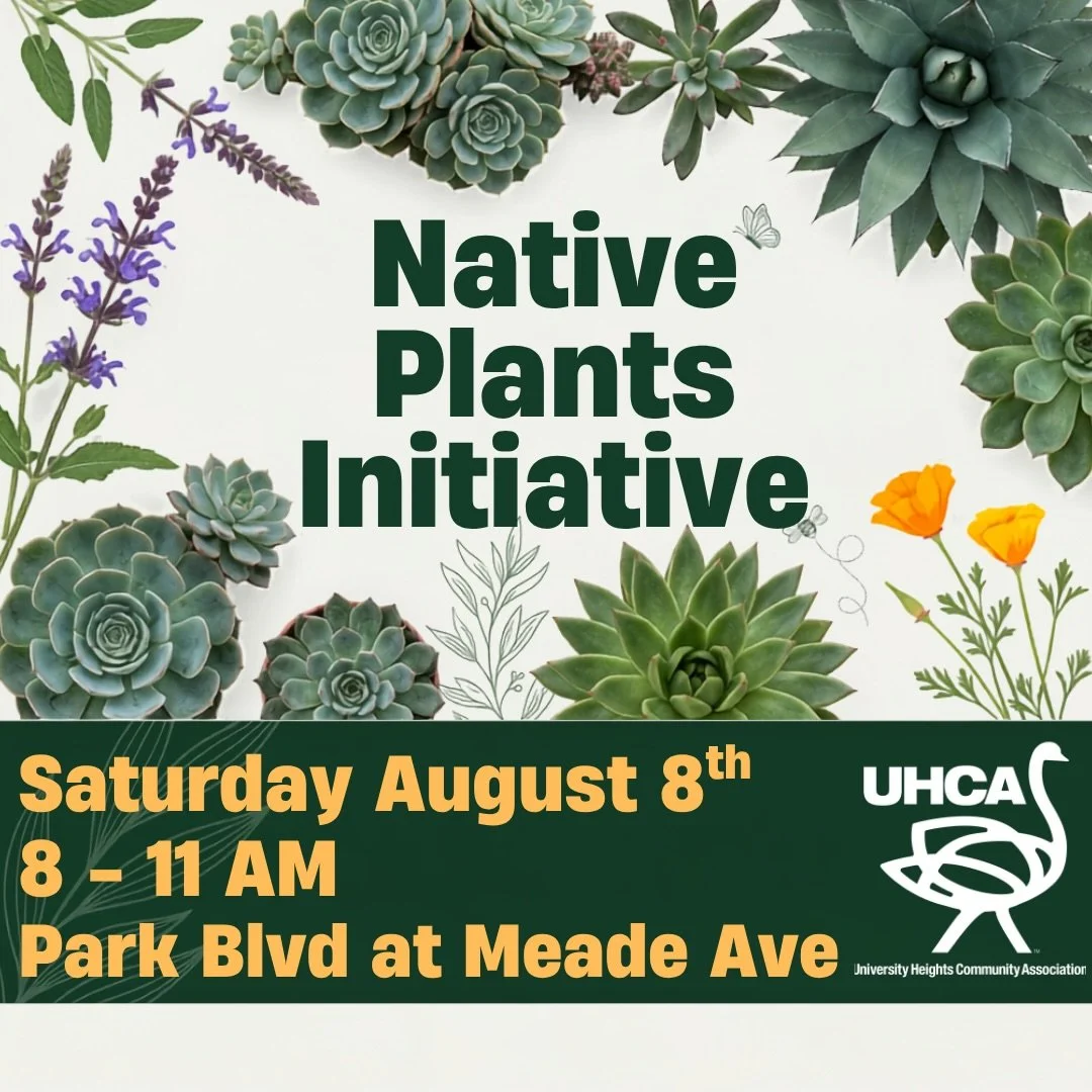 Join us next Saturday morning Aug 8 from 8-11am at the corner of Park and Meade for some gardening work. We will be weeding in the existing gardens and sheet mulching in the new areas. 

Also, if you happen to drive a truck and can stop by the greene