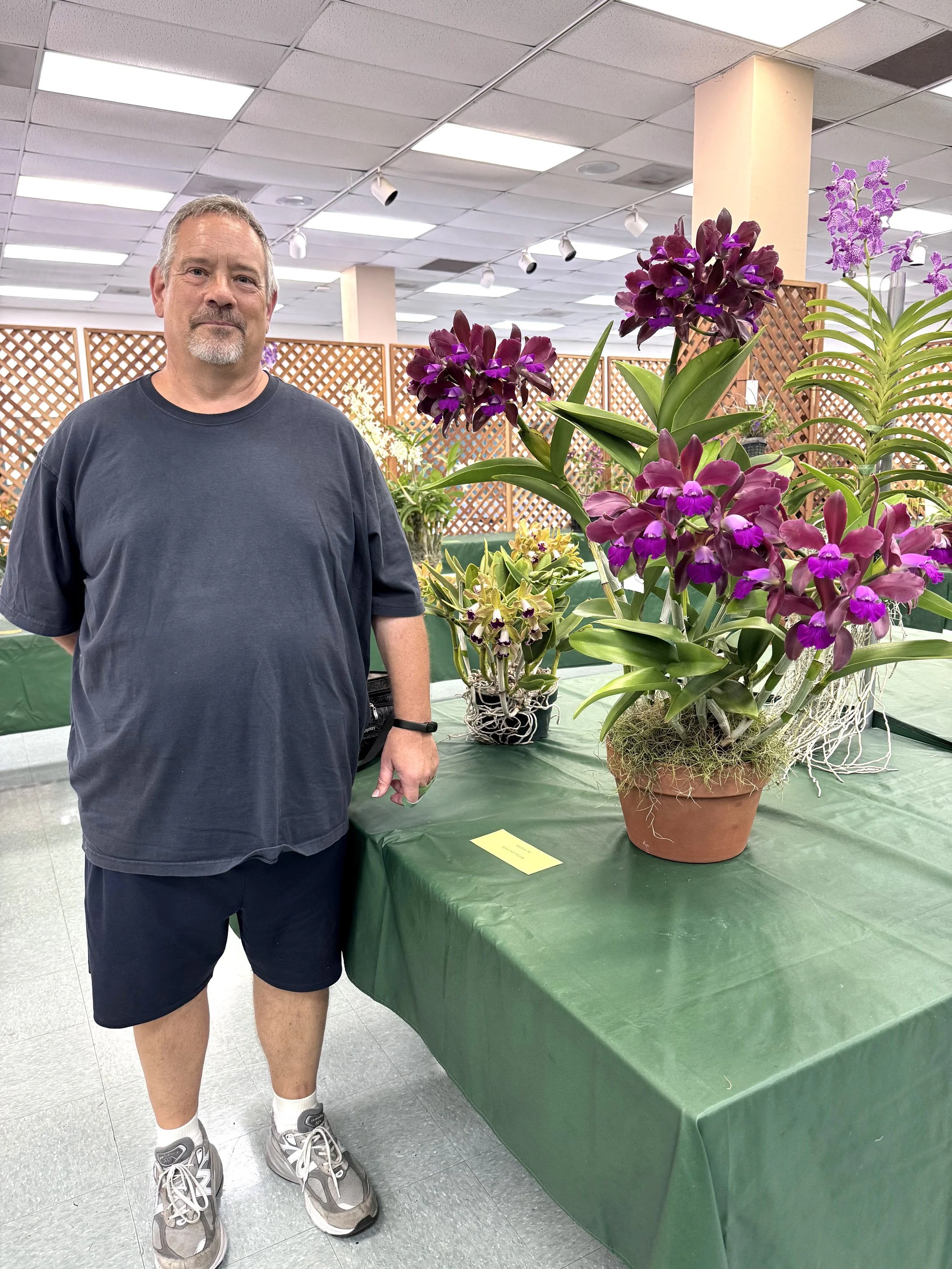 Too Much Work Pays Off: Orchid Wins Best of Show