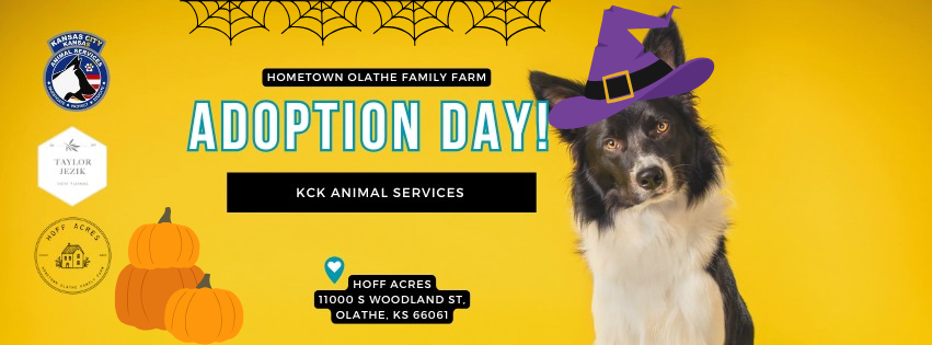 Howl-O-Ween Adoption Day with KCK Animal Services!