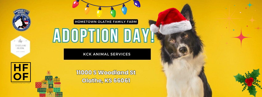 Adoption Day! Friends of KCK Animal Services | Dec 13th
