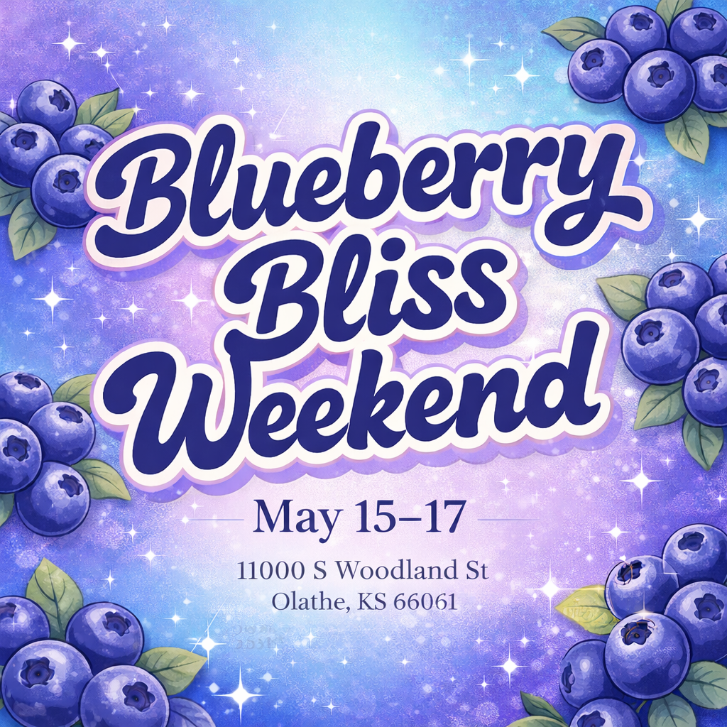 💙 Blueberry Bliss Weekend 💙