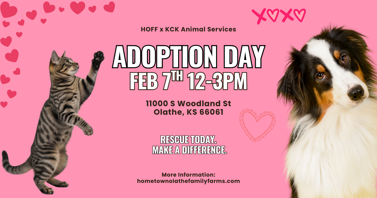 Adoption Day! Friends of KCK Animal Services | Feb 7th